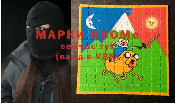 гидра Бронницы