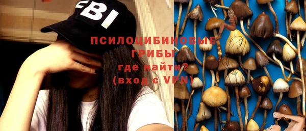 МДМА Богородицк