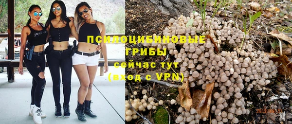 гидра Бронницы