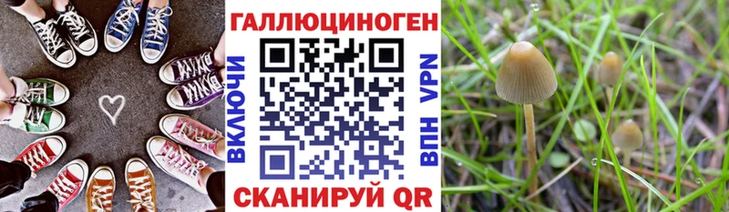 Псилоцибиновые грибы Psilocybine cubensis  магазин продажи наркотиков  Гаврилов-Ям 