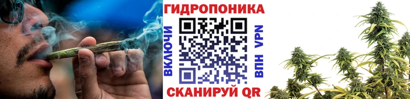 закладка  Гаврилов-Ям  Канабис Amnesia 